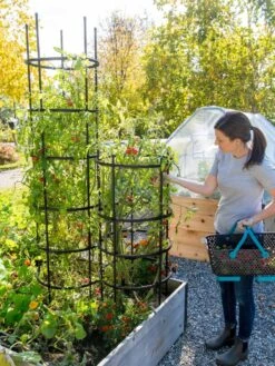 Titan Tomato Cages, Set Of 3 -Green Leaf Tools & Supplies Sales Store 8599861 0114 tif