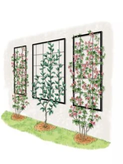 Exeter Wall Trellis -Green Leaf Tools & Supplies Sales Store 8600049 50 0001 art tif