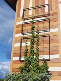 Exeter Wall Trellis -Green Leaf Tools & Supplies Sales Store 8600049 7121 tif