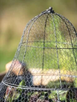 Chicken Wire Cloche With Extension -Green Leaf Tools & Supplies Sales Store 8600116 0607 tif