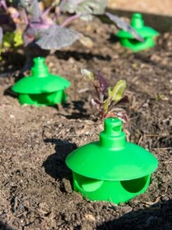 Slug And Snail Traps, Set Of 3 11 Slug And Snail Traps, Set Of 3 -Green Leaf Tools & Supplies Sales Store 8600120 1788