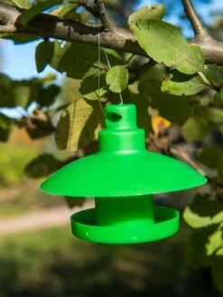 Slug And Snail Traps, Set Of 3 15 Slug And Snail Traps, Set Of 3 -Green Leaf Tools & Supplies Sales Store 8600120 1792