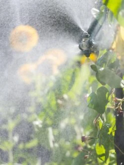 Landscape 4-Way Cooling Mist Kit, 50' -Green Leaf Tools & Supplies Sales Store 8600154 0695 tif