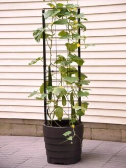 Gardener’s Victory Self-Watering Planter With Vine Trellis 18 Gardener’s Victory Self-Watering Planter With Vine Trellis -Green Leaf Tools & Supplies Sales Store 8600177 9876 tif