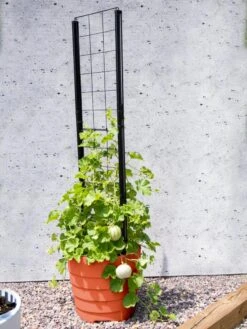 Gardener’s Victory Self-Watering Planter Garden With Vine Trellis -Green Leaf Tools & Supplies Sales Store 8600178 05487 tif