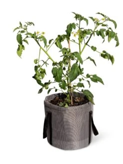 Reinforced Colorful Grow Bags 11 Reinforced Colorful Grow Bags -Green Leaf Tools & Supplies Sales Store 8600229 0944 tif