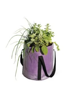 Reinforced Colorful Grow Bags 8 Reinforced Colorful Grow Bags -Green Leaf Tools & Supplies Sales Store 8600230 0948 tif