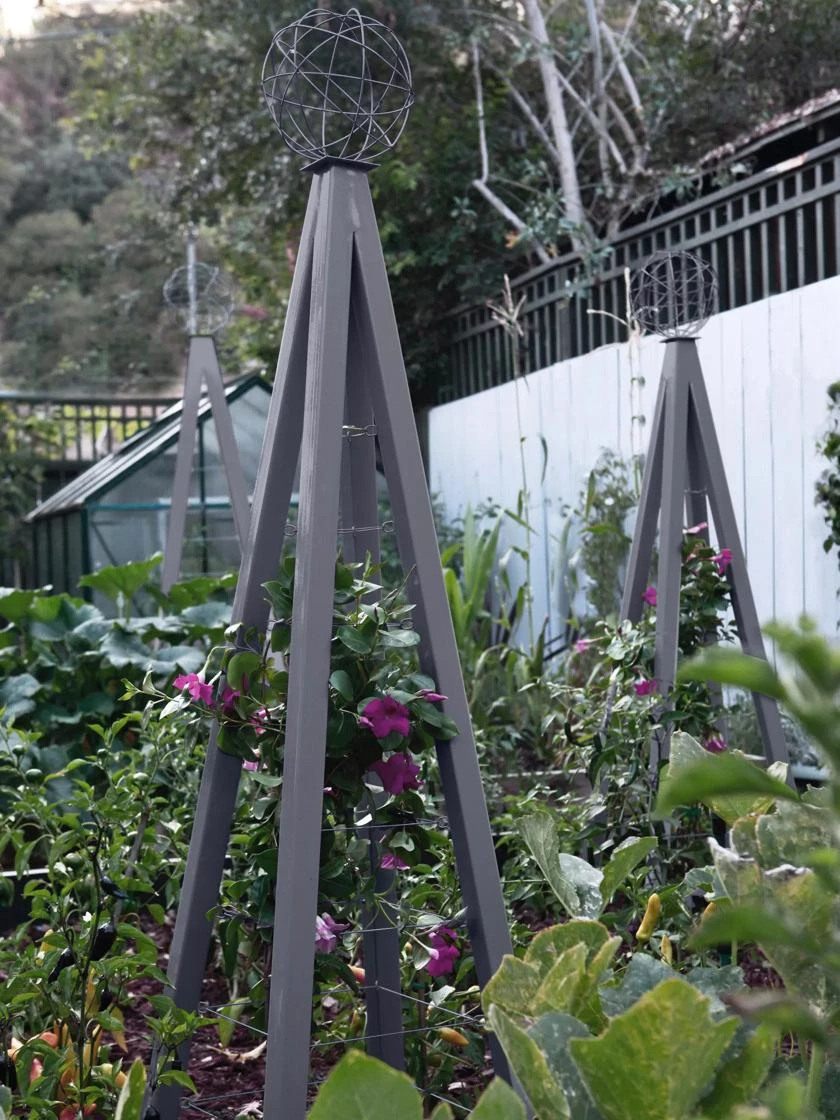 Akoris Garden Tuteur Sr. 2 Akoris Garden Tuteur Sr. - Image 2