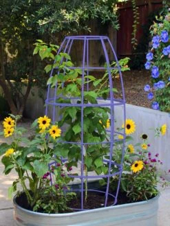 Toki Bubble Trellis -Green Leaf Tools & Supplies Sales Store 8600520 02V tif