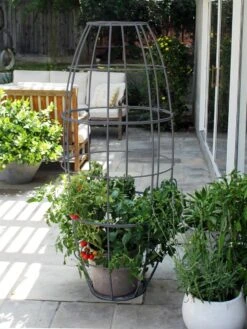 Toki Bubble Trellis -Green Leaf Tools & Supplies Sales Store 8600520 07V jpg