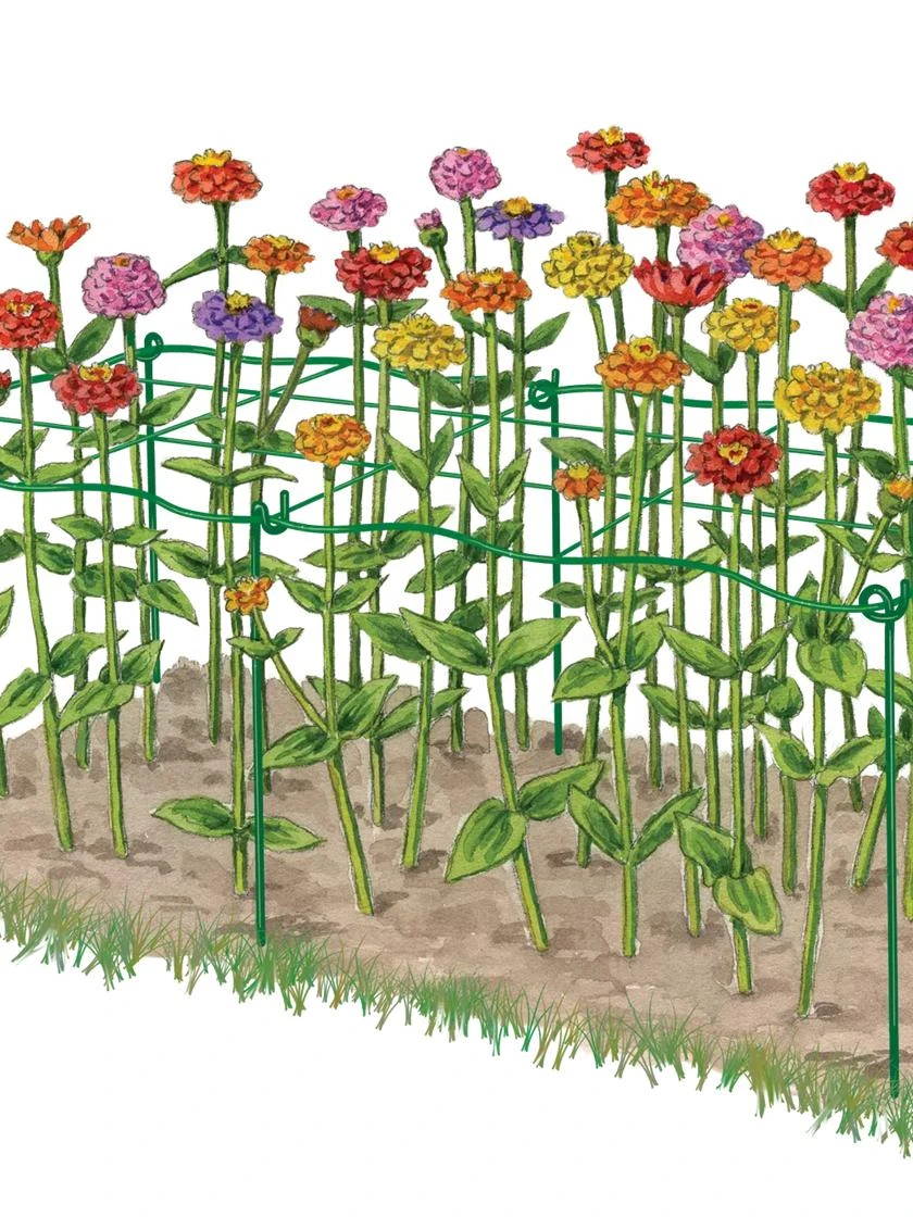 Cut Flower Grid Support, Set Of 2 4 Cut Flower Grid Support, Set Of 2 - Image 4