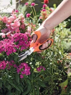 Gardener's Multi Purpose Scissors -Green Leaf Tools & Supplies Sales Store 8608655 19551 tif