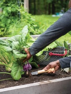 Gardener's Lifetime Hori Hori Knife -Green Leaf Tools & Supplies Sales Store 8608888 0422 tif