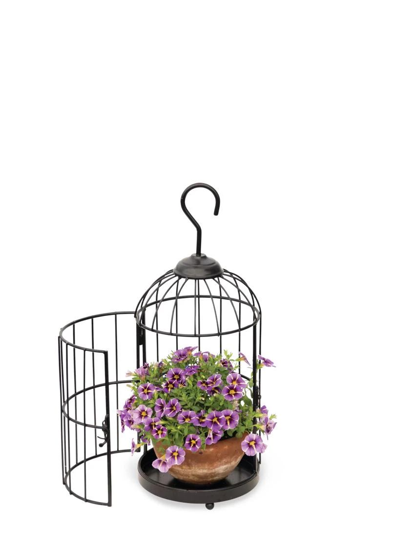Hanging Birdcage Planter Set 3 Hanging Birdcage Planter Set - Image 3
