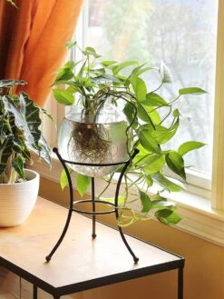 Achla Designs Multi Use Stand -Green Leaf Tools & Supplies Sales Store 8609343 01v achla designs multi use stand