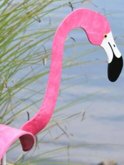 Florida Dancing Birds®, Flamingos -Green Leaf Tools & Supplies Sales Store 8609442HP 02V jpg