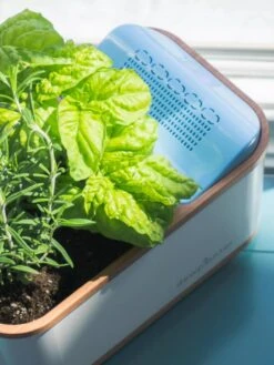 Dewplanter 8 Dewplanter -Green Leaf Tools & Supplies Sales Store 8609512 04V