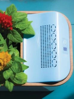 Dewplanter 7 Dewplanter -Green Leaf Tools & Supplies Sales Store 8609512 Dewplanter