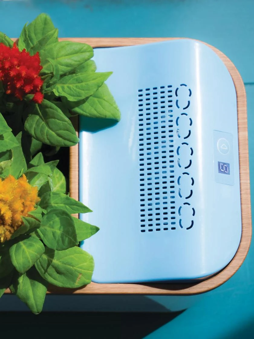 Dewplanter 3 Dewplanter - Image 3