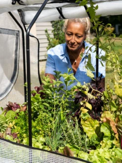 VegTrug®Patio Garden Greenhouse Cover Kit -Green Leaf Tools & Supplies Sales Store 8610172 1256