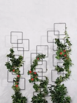 Building Blocks Wall Trellis, 45" 6 Building Blocks Wall Trellis, 45" -Green Leaf Tools & Supplies Sales Store 8610183 5811 tif