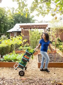 Mod Hod Trolley With Teal Mod Hods -Green Leaf Tools & Supplies Sales Store 8610240 0070 tif