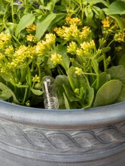 Adjustable Self-Watering Insert For Pots And Planters -Green Leaf Tools & Supplies Sales Store 8610250 0010 tif