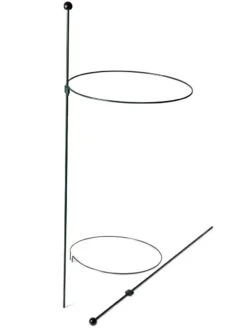 Peacock Classic Plant Support Rings 15", Set Of 2 -Green Leaf Tools & Supplies Sales Store 8610384 9562 tif