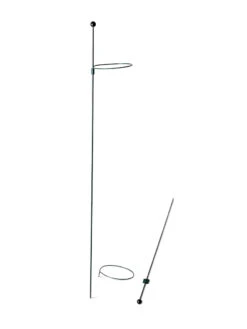 Peacock Mini Plant Support Rings 4", Set Of 2 -Green Leaf Tools & Supplies Sales Store 8610386 9566