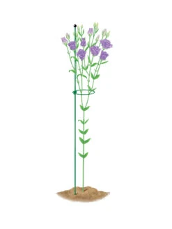 Peacock Mini Plant Support Rings 4", Set Of 2 -Green Leaf Tools & Supplies Sales Store 8610386 peacock4x36