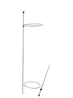 Peacock Mini Plant Support Rings 8", Set Of 2 -Green Leaf Tools & Supplies Sales Store 8610388 9565 tif