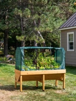 VegTrug® Patio Garden Shade Cover 13 VegTrug® Patio Garden Shade Cover -Green Leaf Tools & Supplies Sales Store 8610408 8357 tif