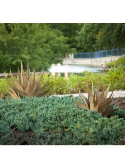 Desert Steel Sharkskin Agave Sculpture -Green Leaf Tools & Supplies Sales Store 8610753 05v