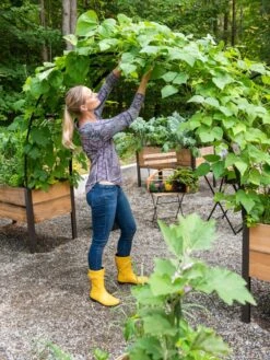 2’ X 8’ Arch Trellis For Planter Boxes -Green Leaf Tools & Supplies Sales Store 8610798 050 tif