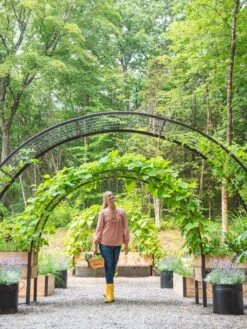 2’ X 8’ Arch Trellis For Planter Boxes -Green Leaf Tools & Supplies Sales Store 8610798 071 tif