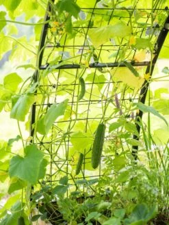 2’ X 8’ Arch Trellis For Planter Boxes -Green Leaf Tools & Supplies Sales Store 8610798 095 tif