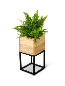 Tartu Elevated Square Planters 17 Tartu Elevated Square Planters -Green Leaf Tools & Supplies Sales Store 8611004 038