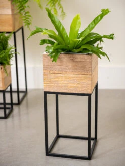 Tartu Elevated Square Planters 13 Tartu Elevated Square Planters -Green Leaf Tools & Supplies Sales Store 8611005 035