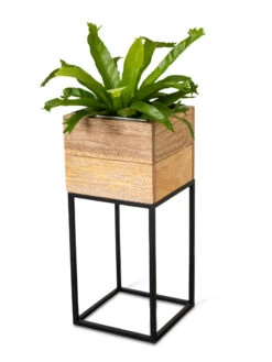 Tartu Elevated Square Planters 18 Tartu Elevated Square Planters -Green Leaf Tools & Supplies Sales Store 8611005 036