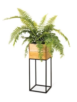 Tartu Elevated Square Planters 16 Tartu Elevated Square Planters -Green Leaf Tools & Supplies Sales Store 8611006 033