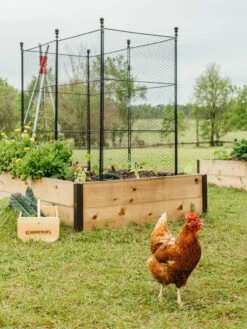 Tall Chicken Wire Critter Fence With Gate 17 Tall Chicken Wire Critter Fence With Gate -Green Leaf Tools & Supplies Sales Store 8611020 316 tif