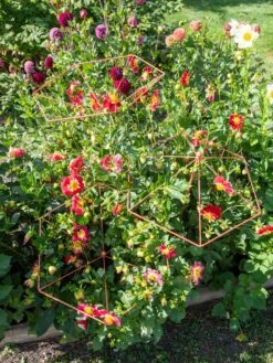 Parasol Plant Supports, Set Of 3 -Green Leaf Tools & Supplies Sales Store 8611129 050 tif