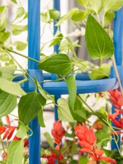 Fleur De Lis Obelisk, 67" 7 Fleur De Lis Obelisk, 67" -Green Leaf Tools & Supplies Sales Store 8611663 0607 tif