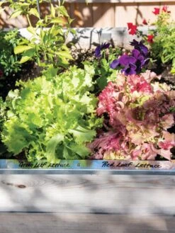 Re-Markable Raised Bed Trim -Green Leaf Tools & Supplies Sales Store 8611758 306 tif