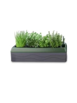 Provence Self-Watering Herb Planter -Green Leaf Tools & Supplies Sales Store 8611965 03V tif