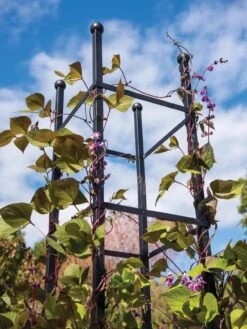 Essex Square Obelisk -Green Leaf Tools & Supplies Sales Store 8611984 354 tif