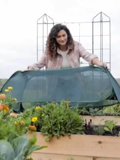 Insect And Pest Net Row Protector -Green Leaf Tools & Supplies Sales Store 8611985 8390 tif