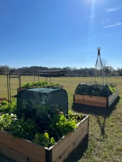 Pest Control Pop-Ups -Green Leaf Tools & Supplies Sales Store 8611989 05 tif