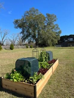 Pest Control Pop-Ups -Green Leaf Tools & Supplies Sales Store 8611989 08 tif