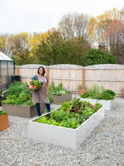 Somerset Metal Raised Beds, As Is -Green Leaf Tools & Supplies Sales Store 8612020 0016 tif